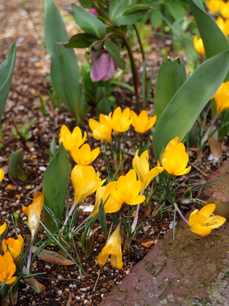 2025-03-13 11_43№(0247).JPG