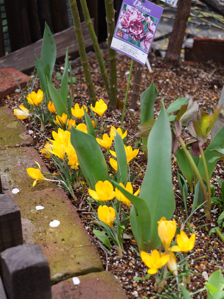 2025-03-13 11_43№(0251).JPG