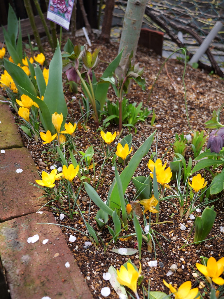 2025-03-13 11_43№(0252).JPG