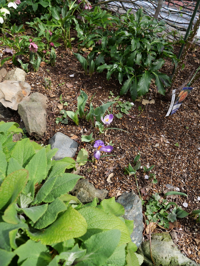 2025-03-13 11_43№(0253).JPG
