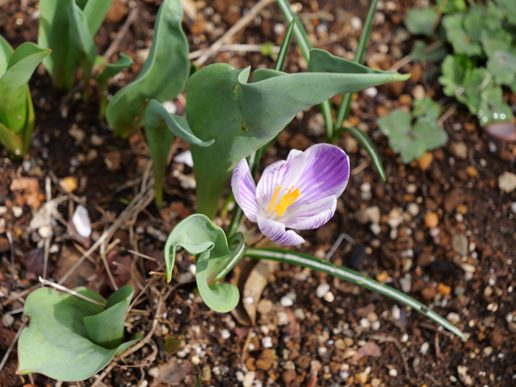 2025-03-13 11_43№(0256).JPG