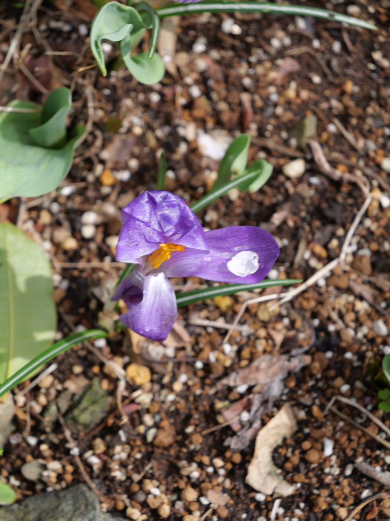 2025-03-13 11_44№(0258).JPG