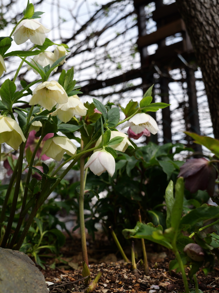 2025-03-13 11_44№(0263).JPG