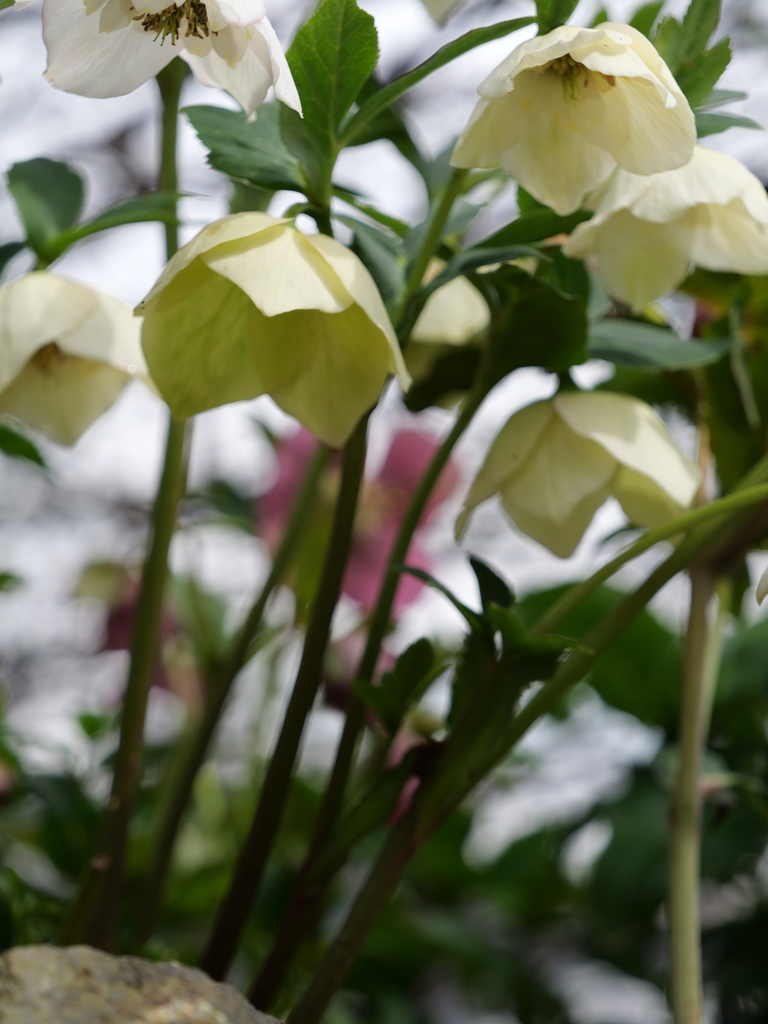 2025-03-13 11_44№(0265).JPG