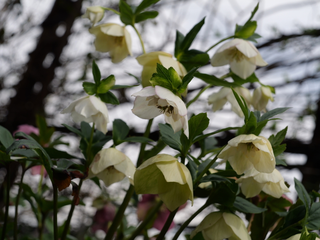2025-03-13 11_44№(0268).JPG