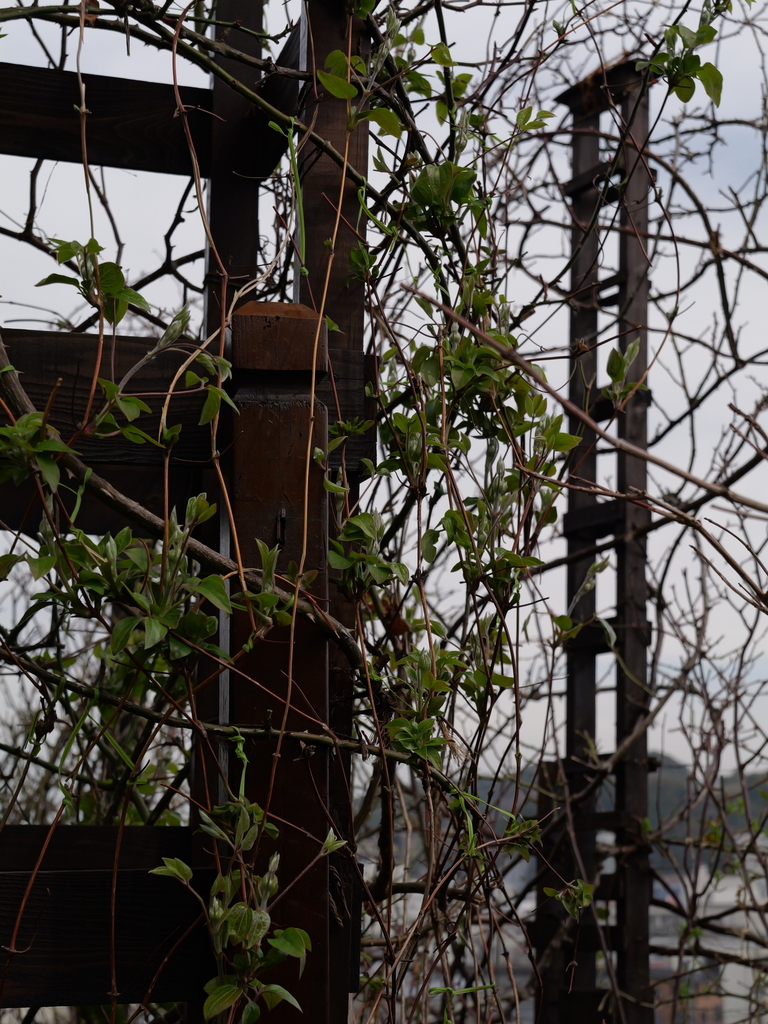 2025-03-13 11_44№(0274).JPG