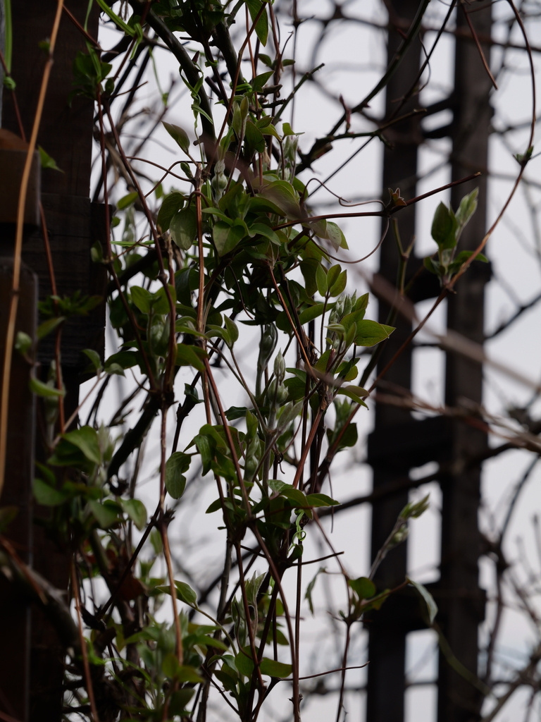2025-03-13 11_44№(0275).JPG