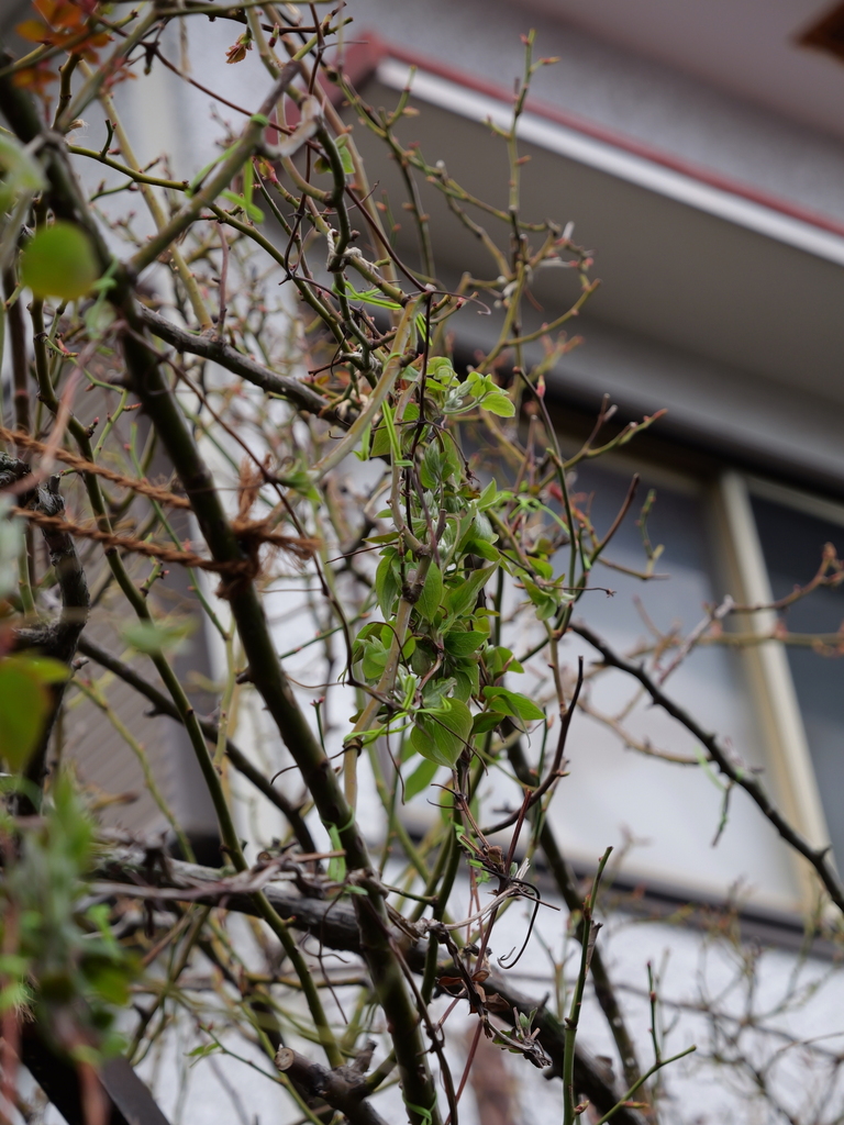 2025-03-13 11_44№(0279).JPG