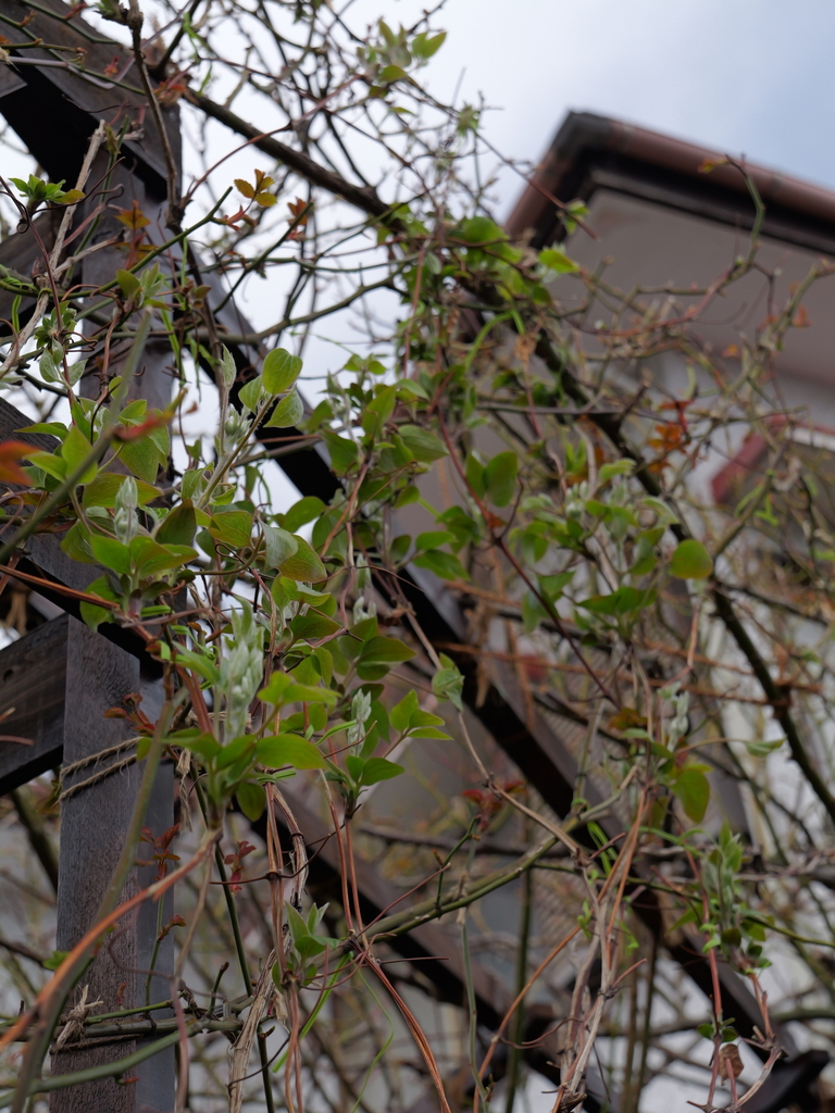 2025-03-13 11_44№(0280).JPG