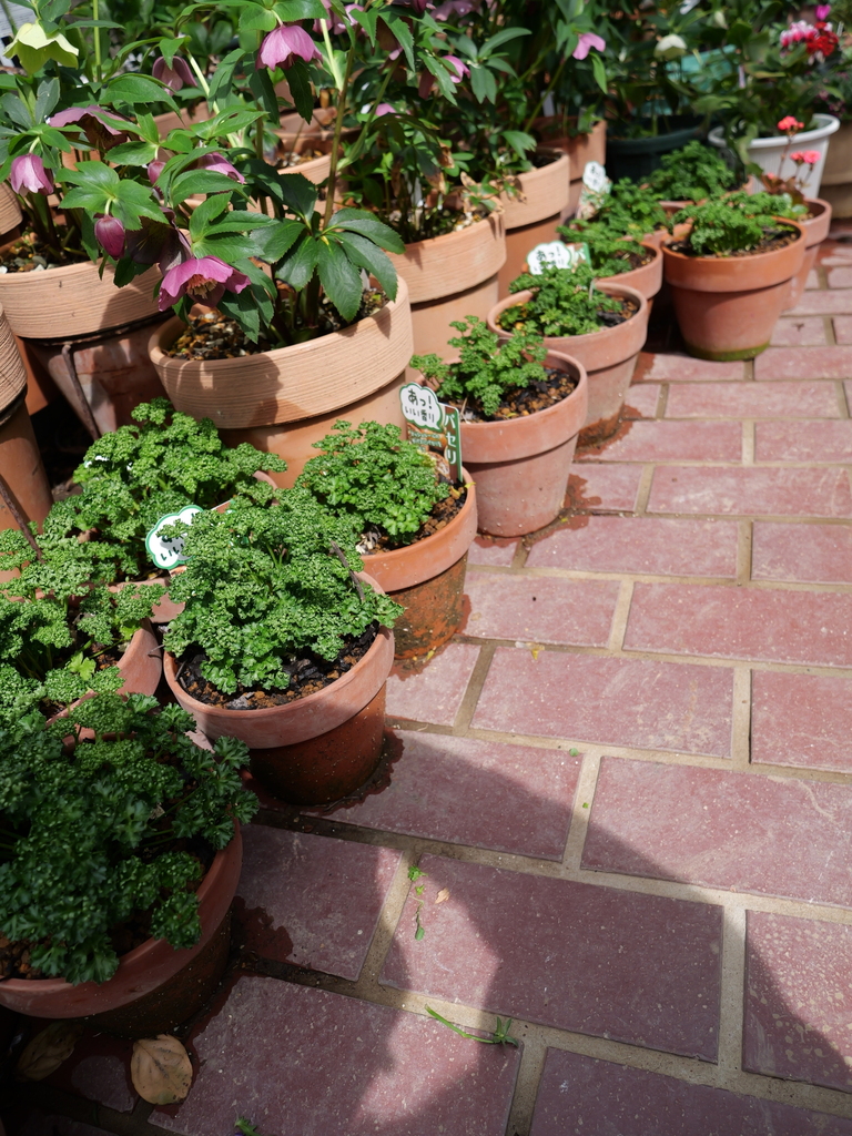 2025-03-13 11_51№(0303).JPG