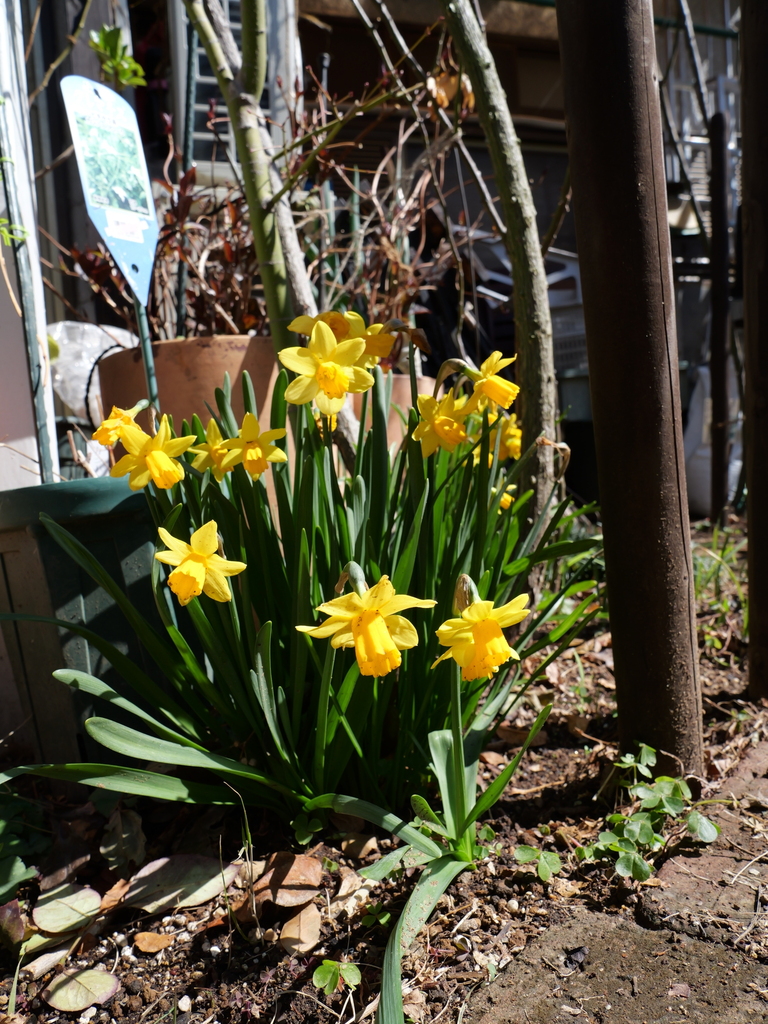 2025-03-17 10_43№(0001).JPG