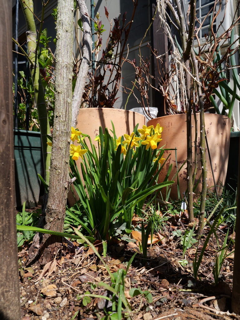 2025-03-17 10_43№(0005).JPG