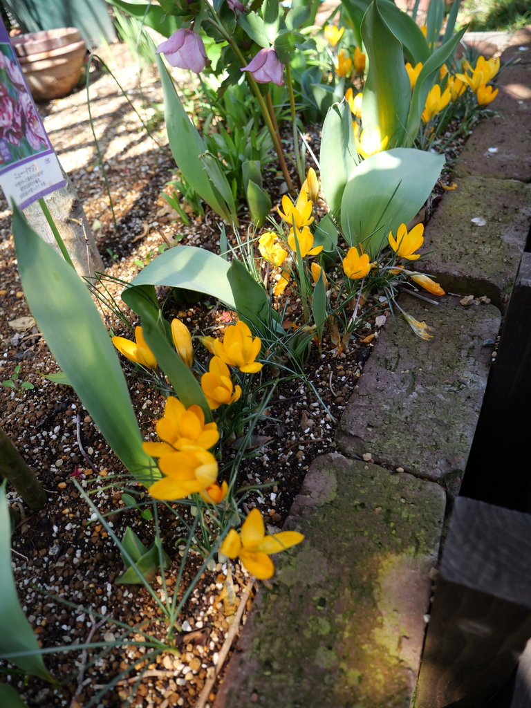 2025-03-17 10_44№(0007).JPG