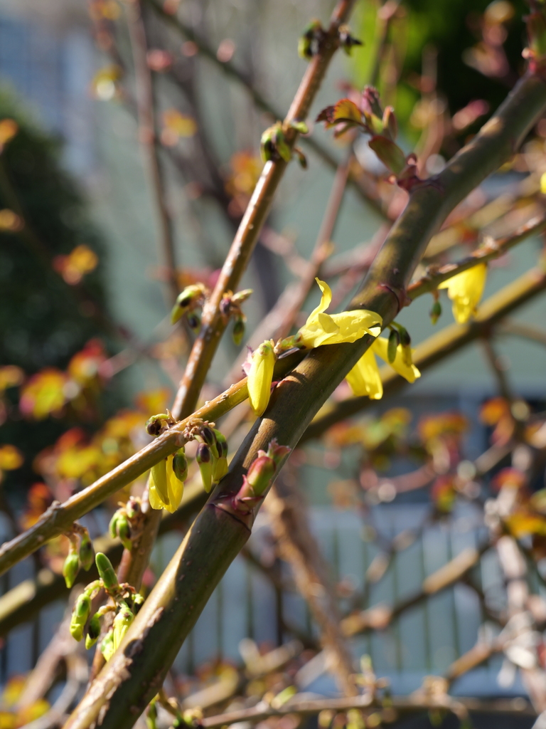 2025-03-17 10_47№(0022).JPG