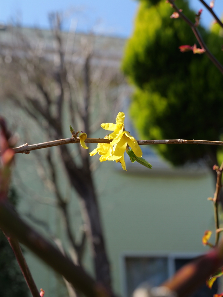 2025-03-17 10_47№(0024).JPG