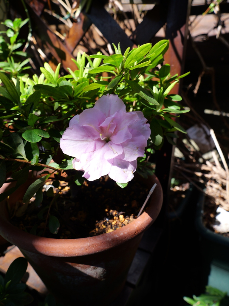 2025-03-17 10_48№(0028).JPG