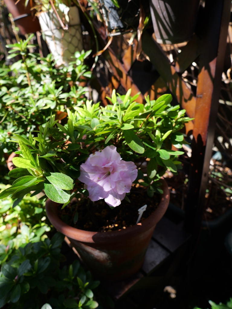 2025-03-17 10_49№(0029).JPG