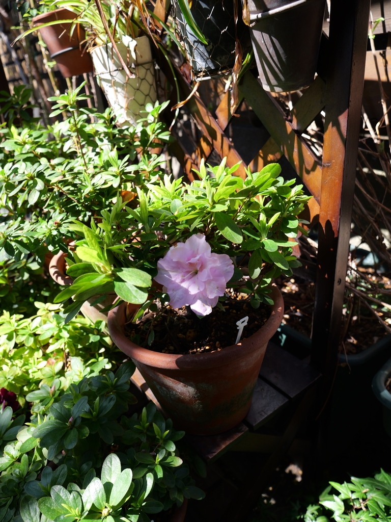 2025-03-17 10_49№(0031).JPG