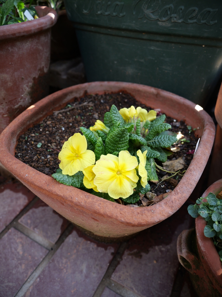 2025-03-17 10_49№(0032).JPG