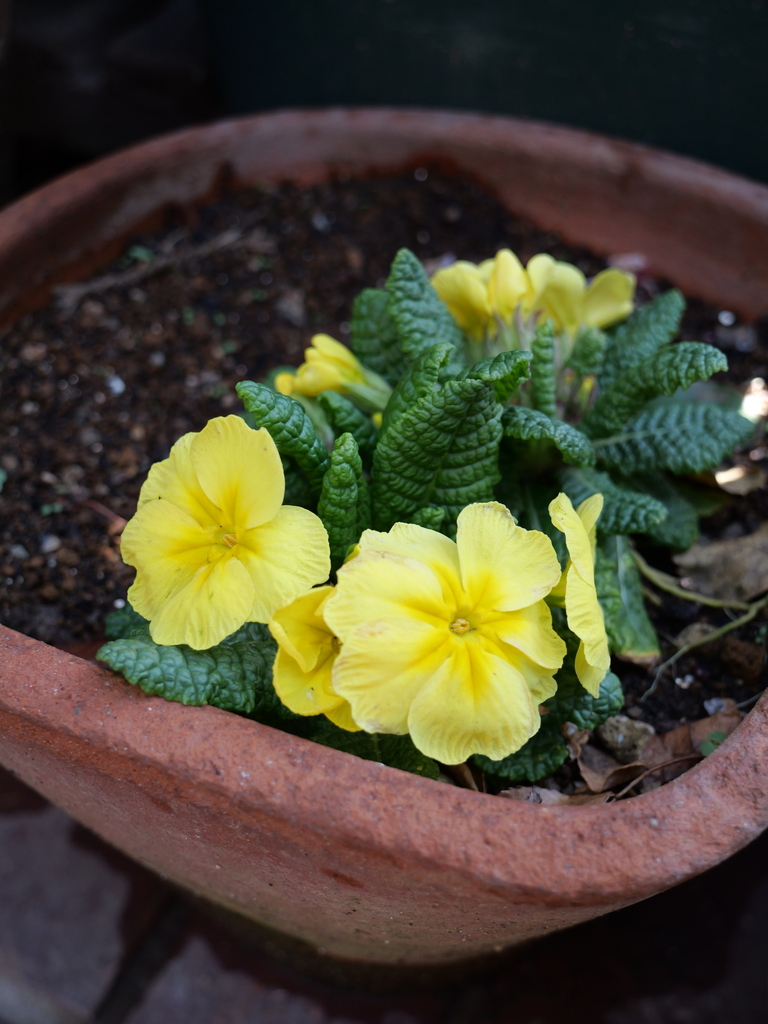 2025-03-17 10_49№(0033).JPG