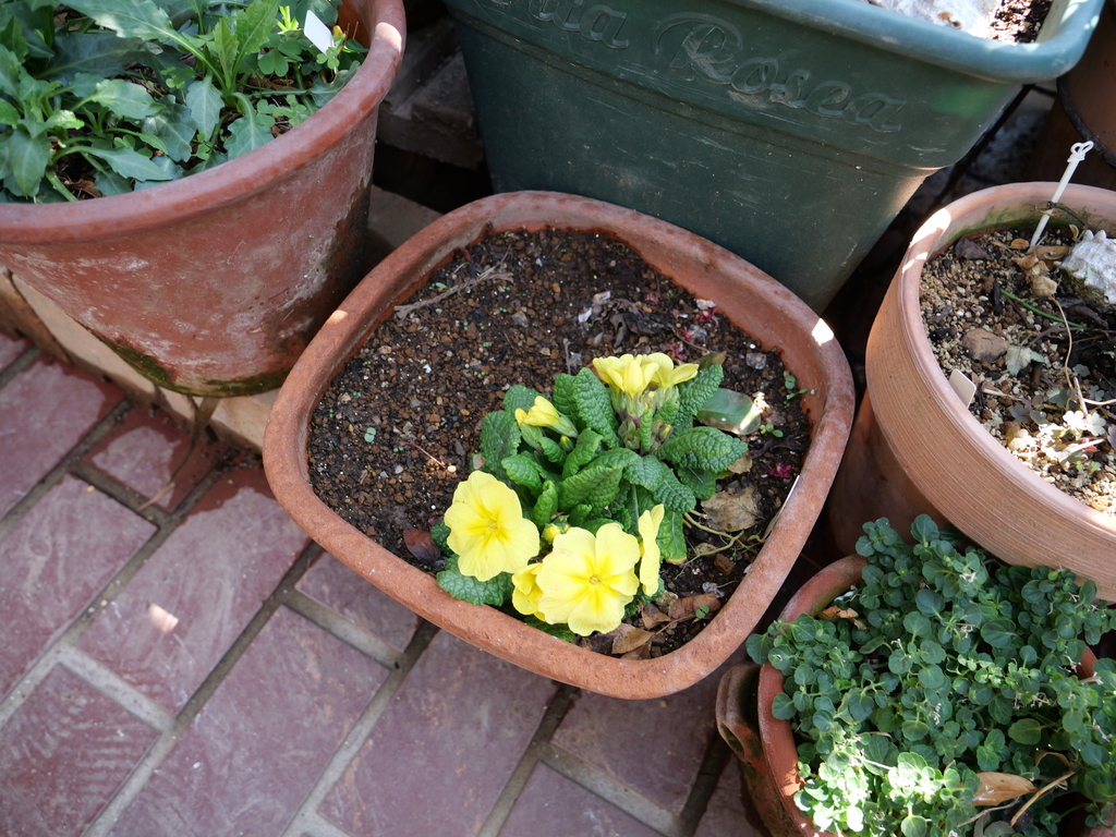 2025-03-17 10_49№(0036).JPG