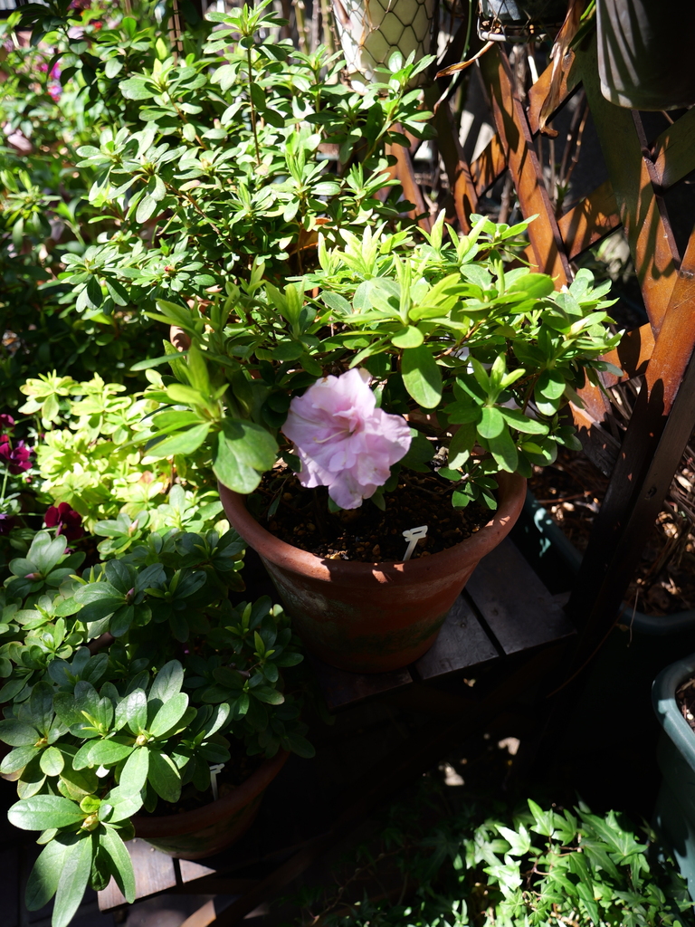 2025-03-17 10_50№(0039).JPG