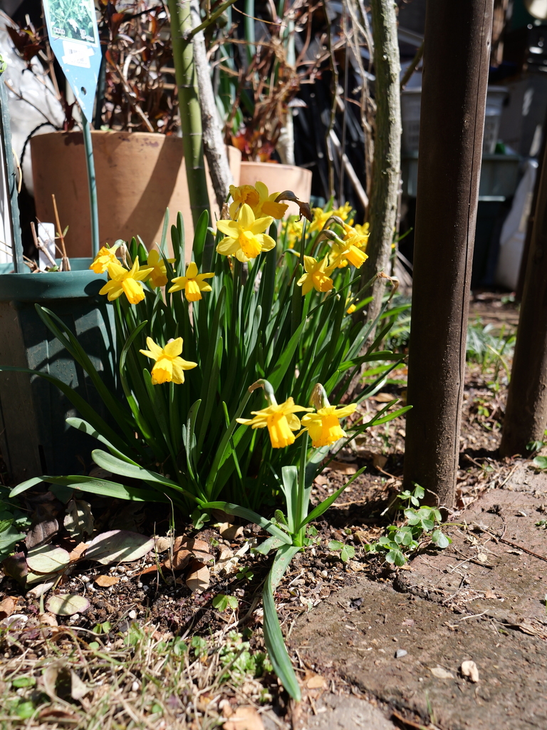 2025-03-17 10_50№(0043).JPG