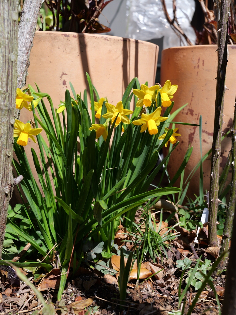 2025-03-17 10_50№(0044).JPG