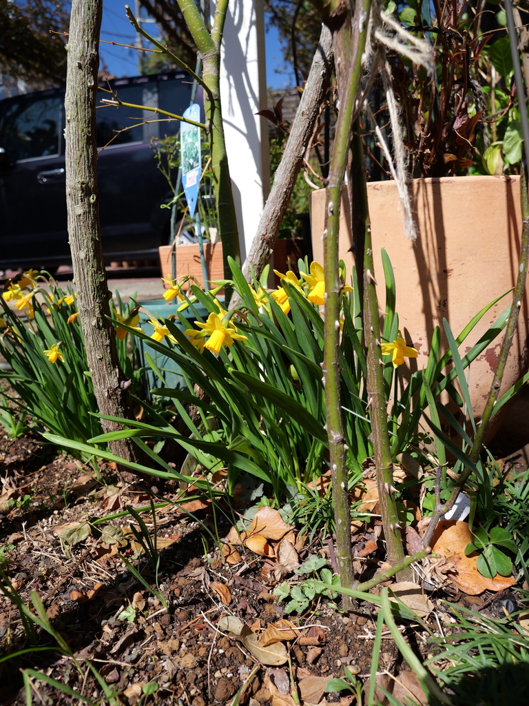 2025-03-17 10_50№(0046).JPG