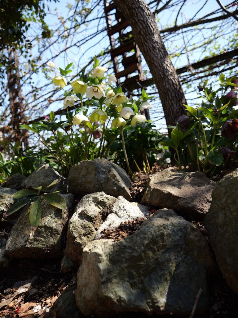 2025-03-17 10_51№(0067).JPG