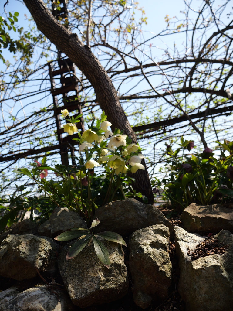 2025-03-17 10_51№(0073).JPG