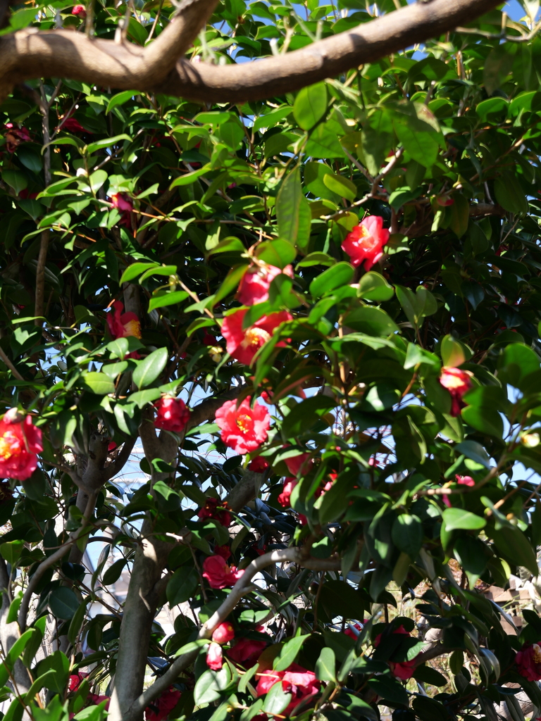 2025-03-17 10_52№(0076).JPG
