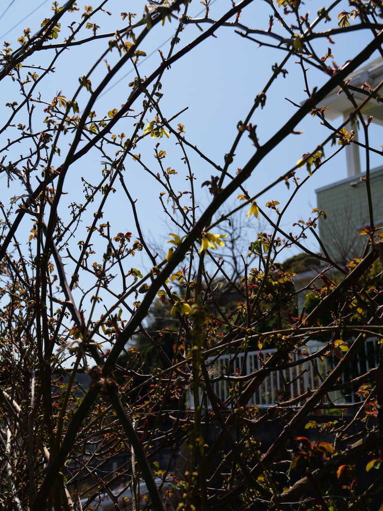 2025-03-17 10_52№(0080).JPG