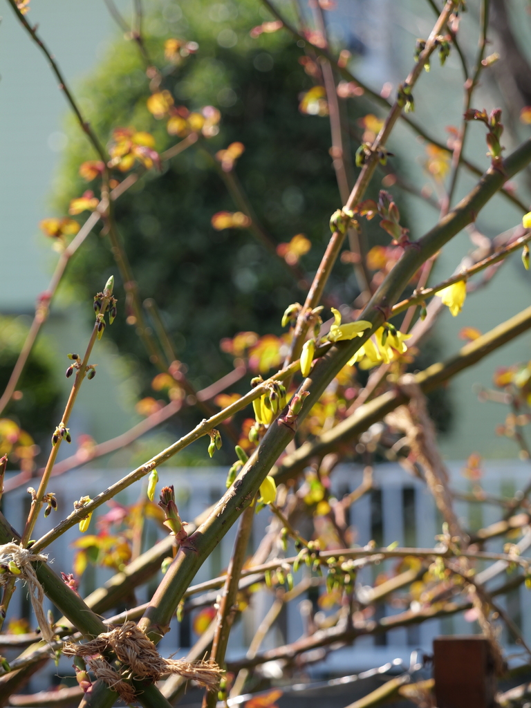 2025-03-17 10_52№(0082).JPG