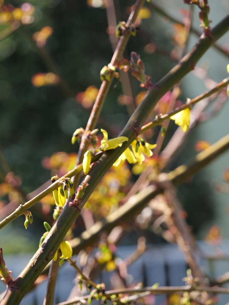 2025-03-17 10_52№(0083).JPG
