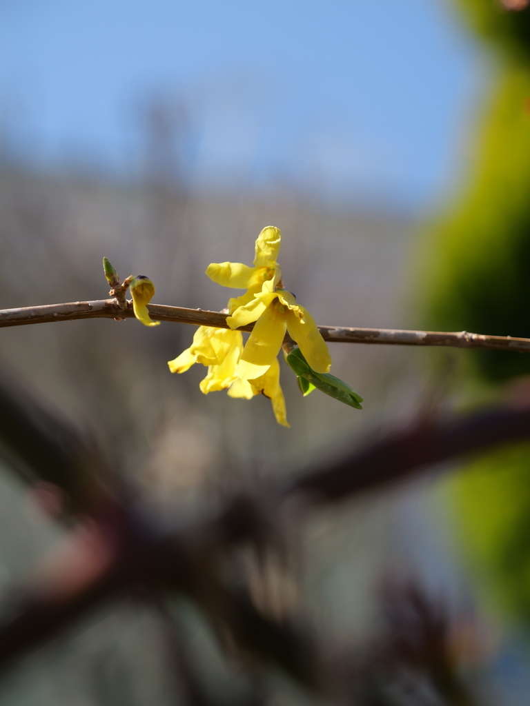 2025-03-17 10_52№(0085).JPG