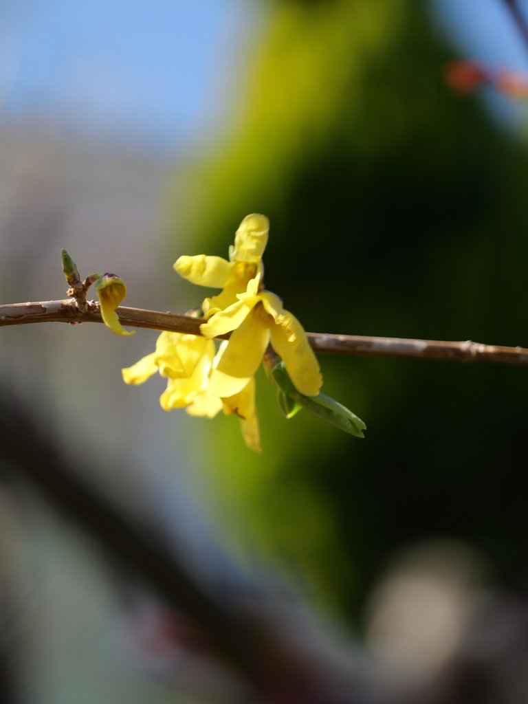 2025-03-17 10_52№(0086).JPG