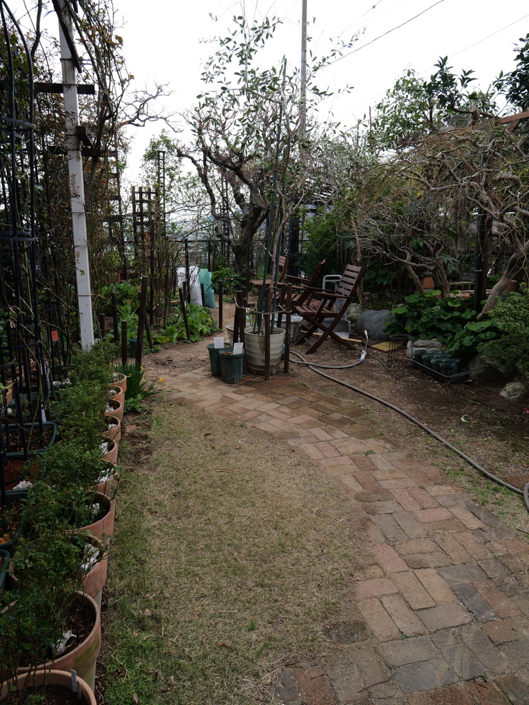 2025-03-24 10_56№(0037).JPG