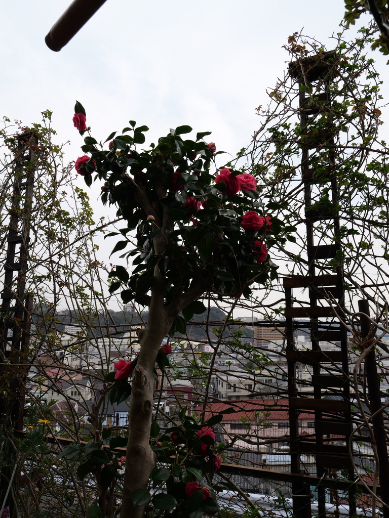 2025-03-24 10_58№(0041).JPG