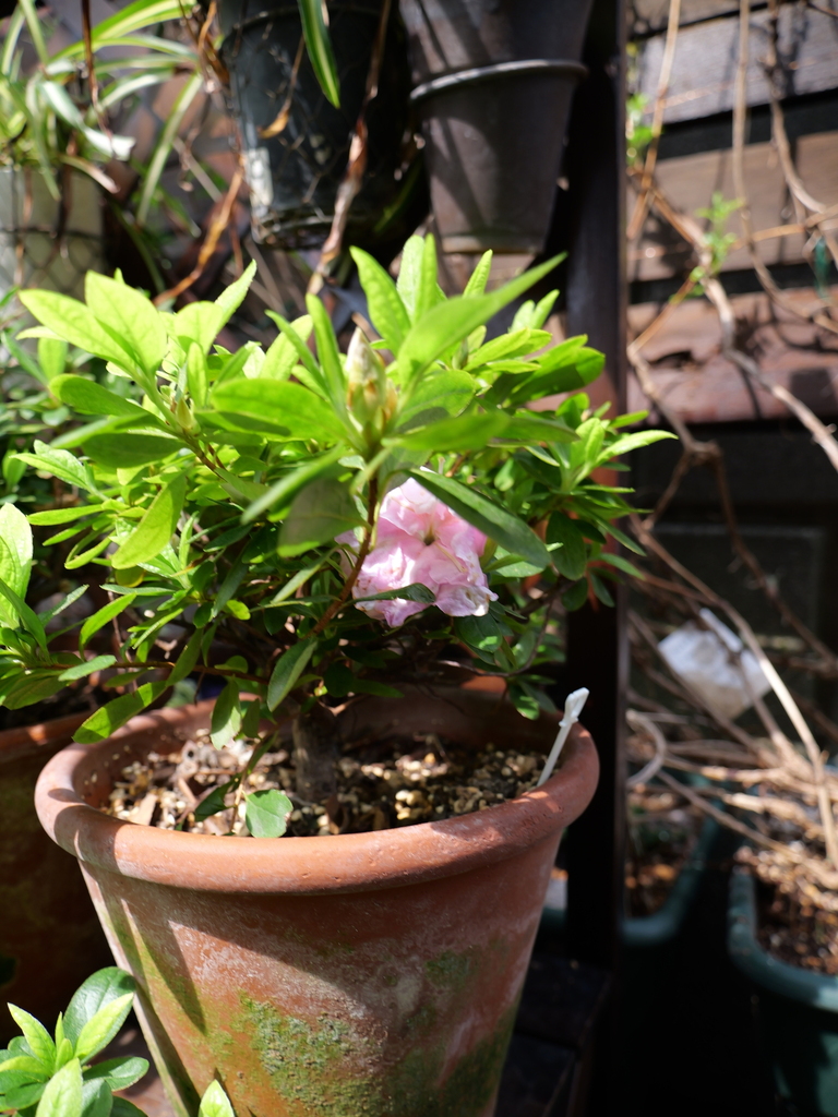 2025-03-24 11_04№(0058).JPG