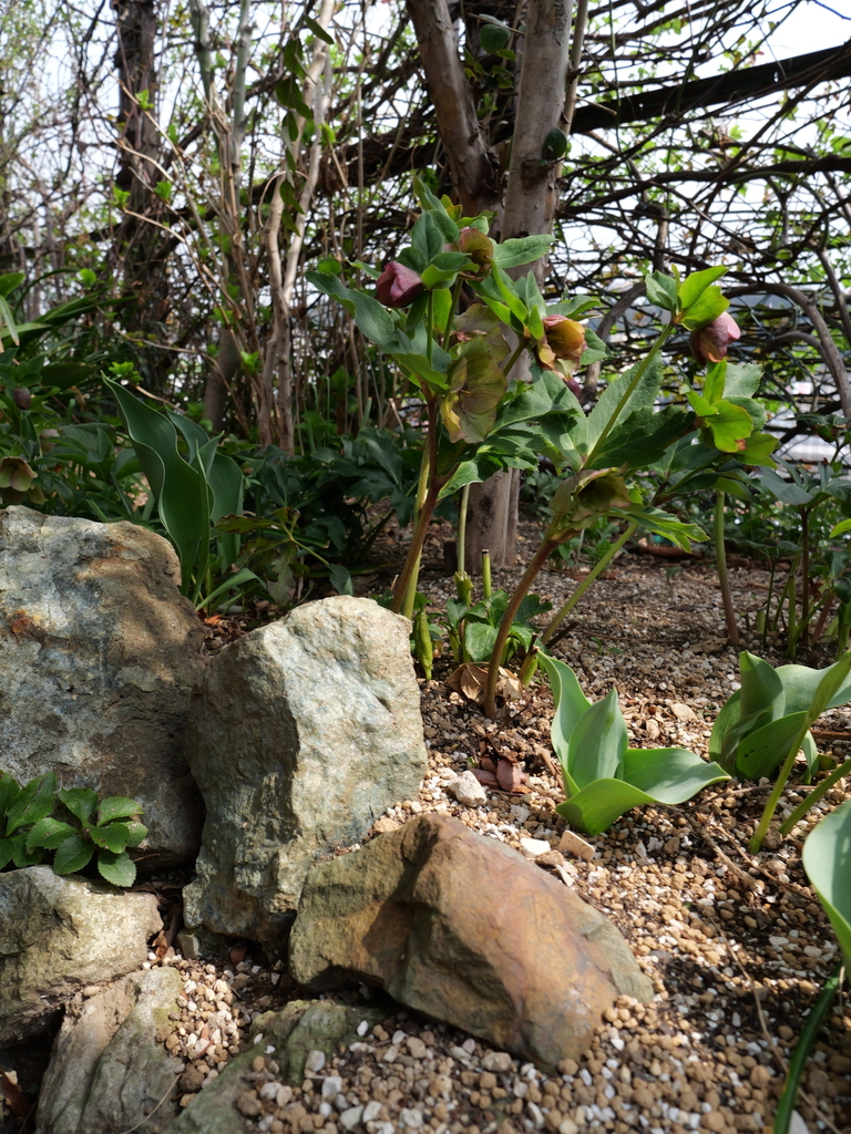 2025-03-24 11_19№(0126).JPG