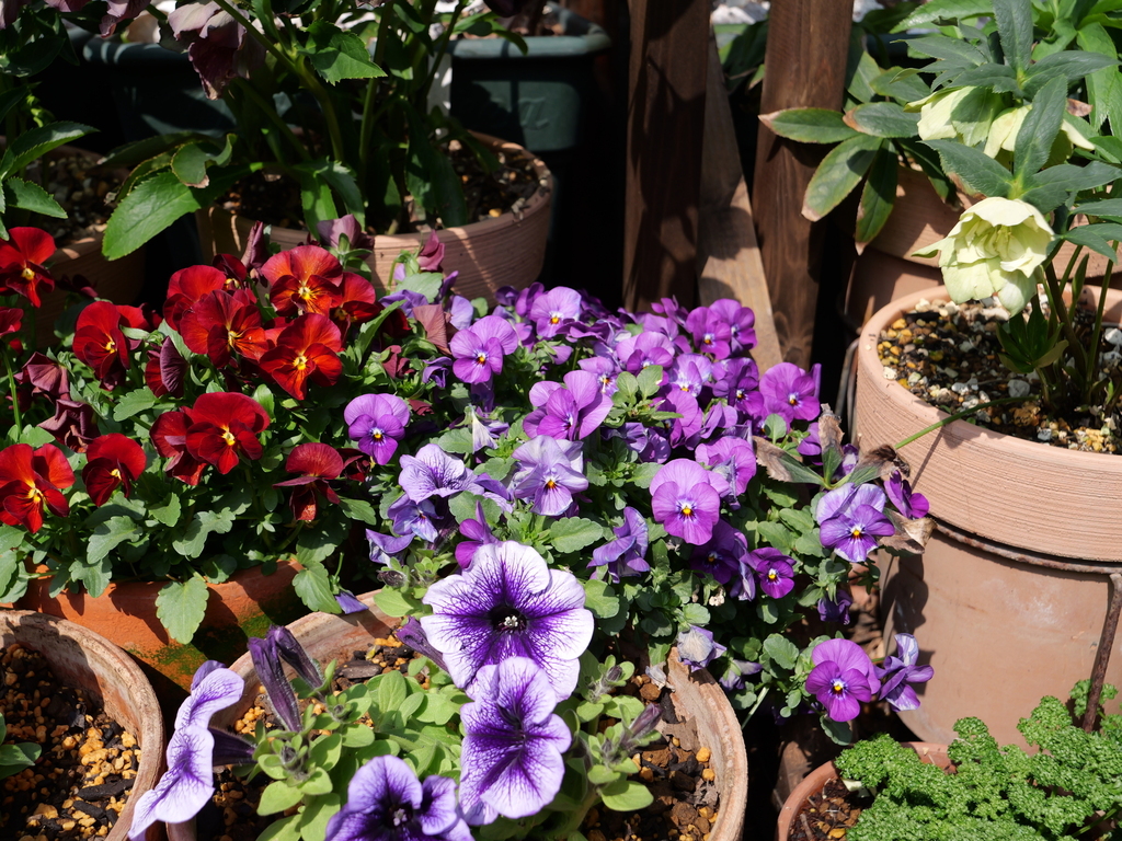 2025-03-24 11_27№(0198).JPG