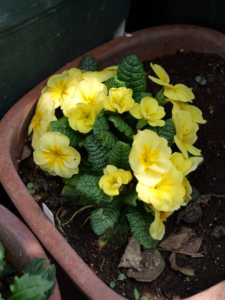 2025-03-24 11_28№(0233).JPG