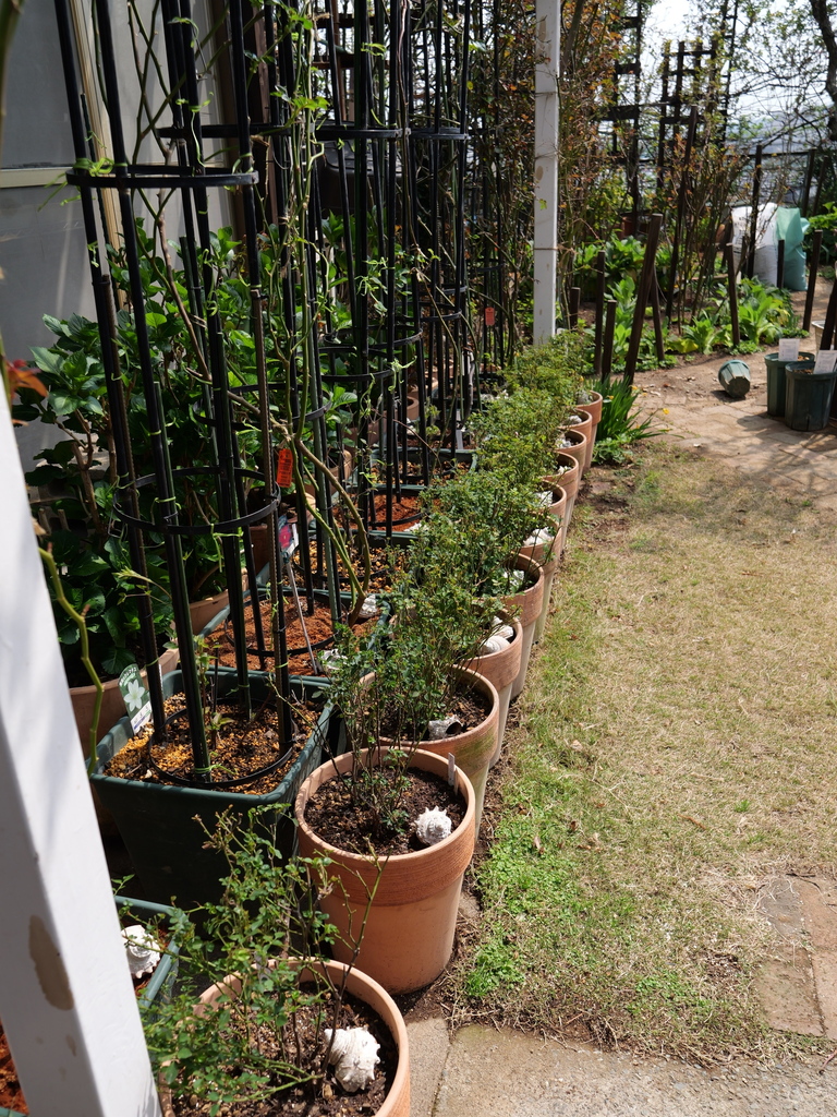 2025-03-24 11_29№(0248).JPG
