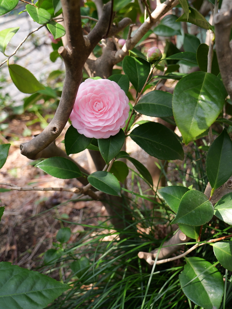 2025-03-24 11_29№(0256).JPG