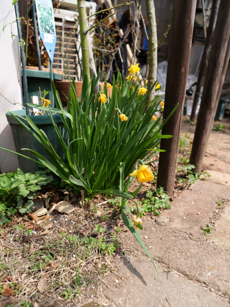 2025-03-24 11_29№(0257).JPG