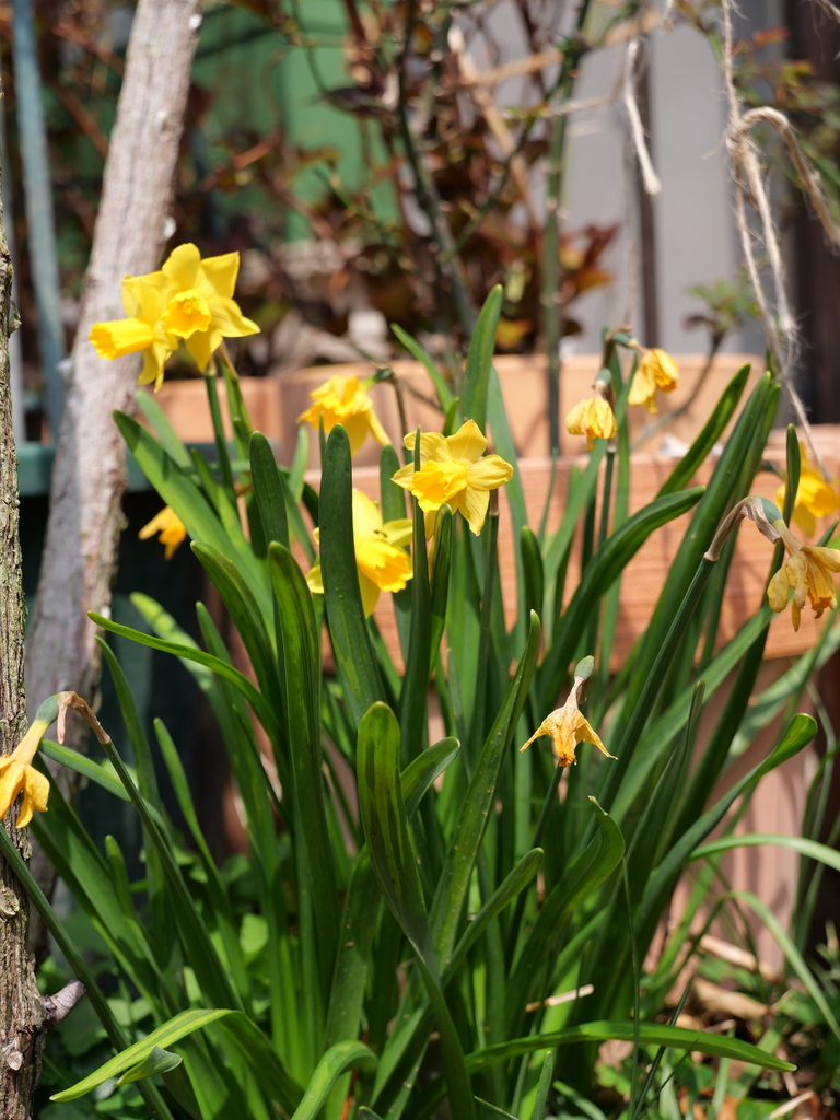 2025-03-24 11_29№(0261).JPG