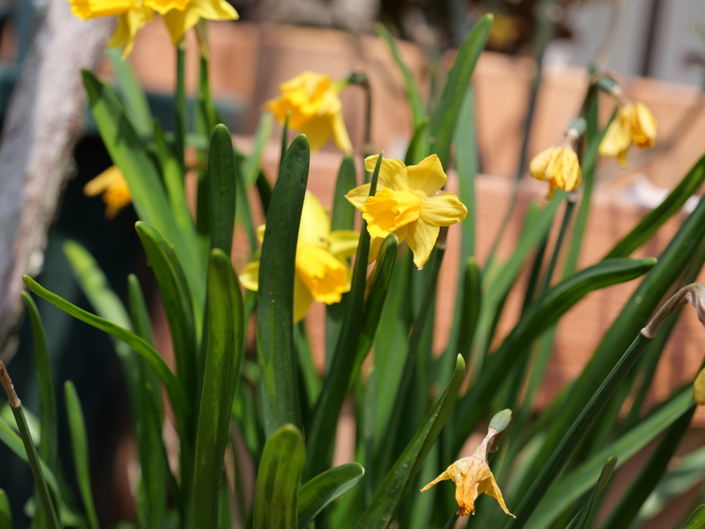 2025-03-24 11_29№(0263).JPG