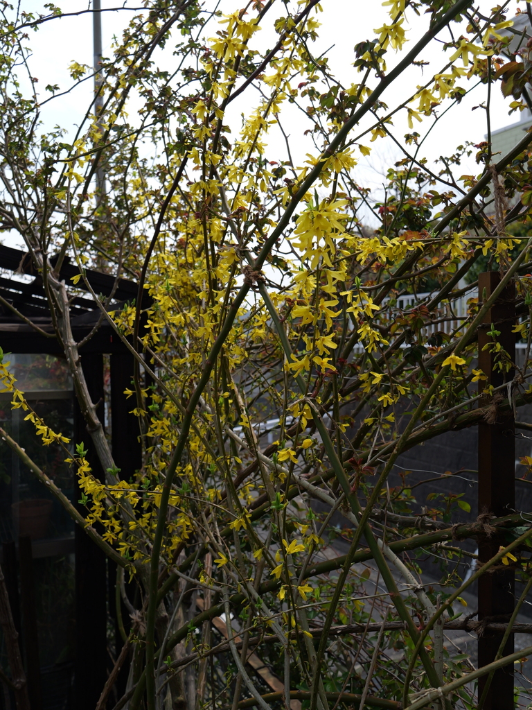 2025-03-24 11_31№(0290).JPG