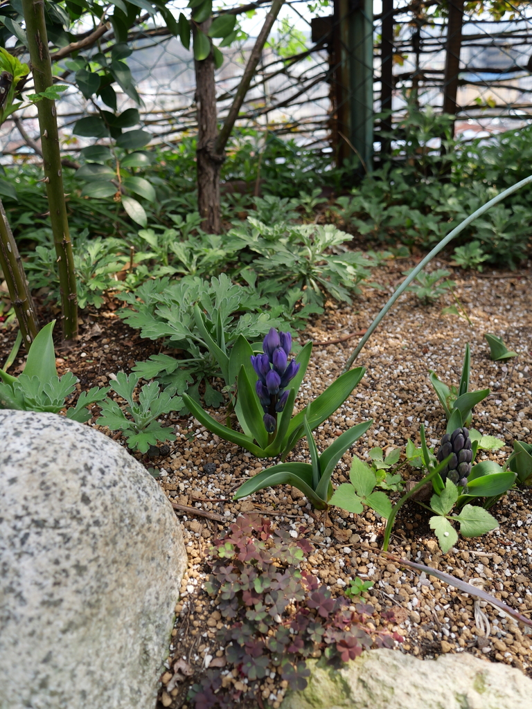 2025-03-24 11_32№(0306).JPG